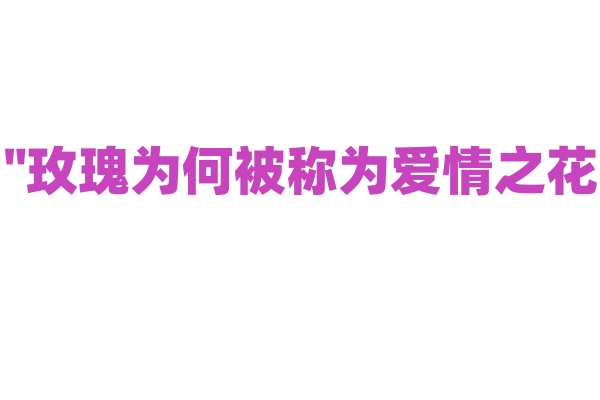 "玫瑰为何被称为爱情之花？"